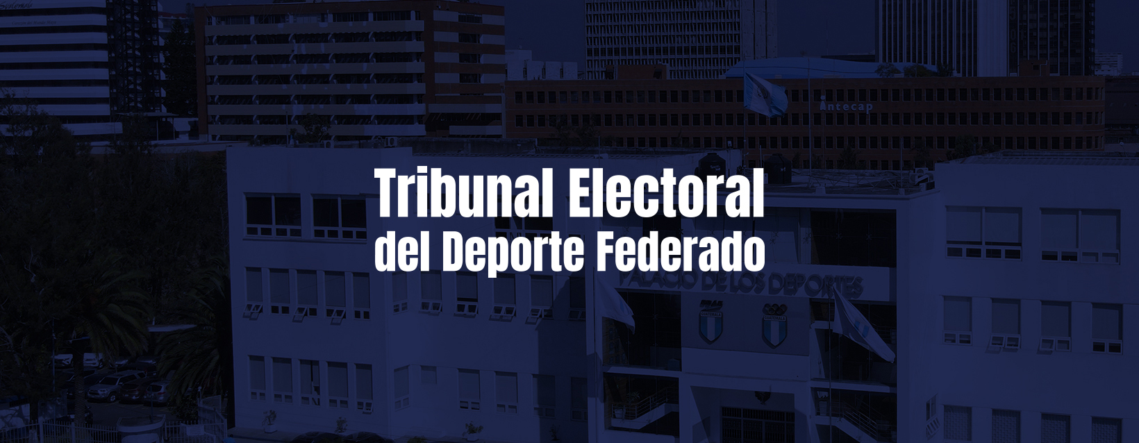 Tribunal Electoral del Deporte Federado